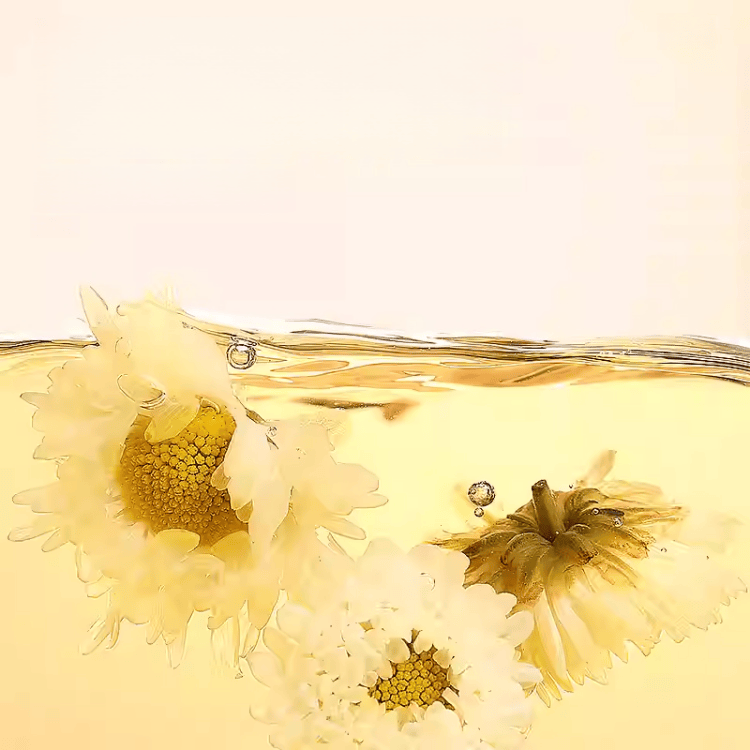 Beijing Tongrentang Chrysanthemum Bud Herbal Tea
