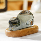 Shangxinle Forbidden City Imperial Cat Luban Weather Bottle