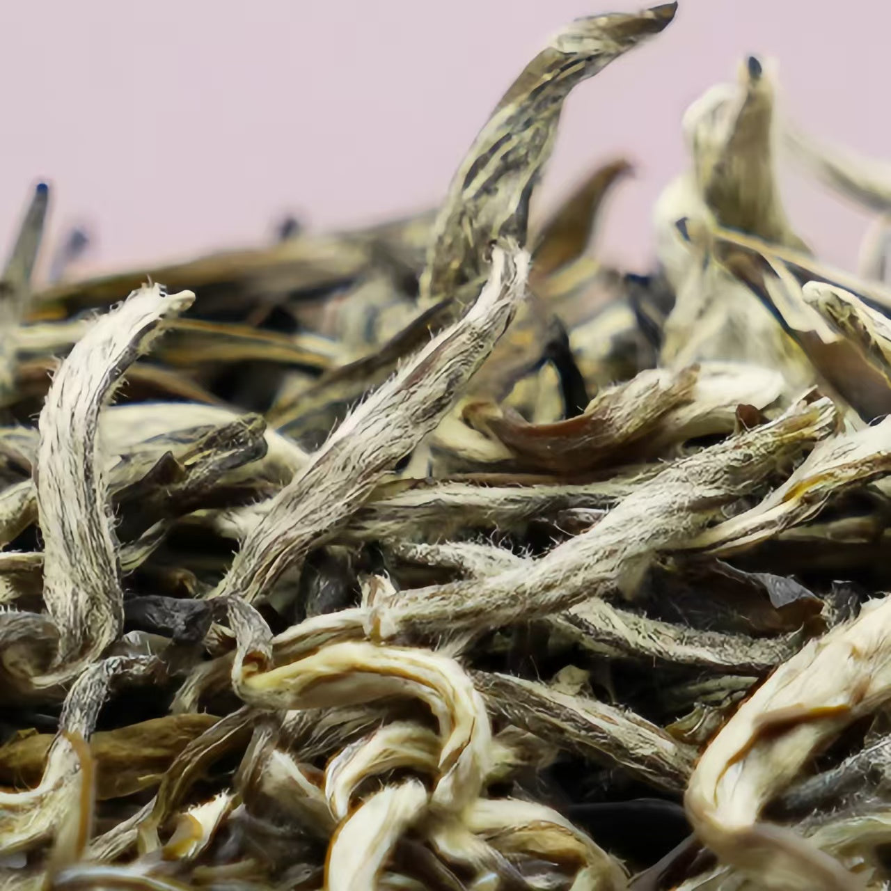 Wu Yutai Whole Buds Gonghao Jasmine Teas Gift Boxes