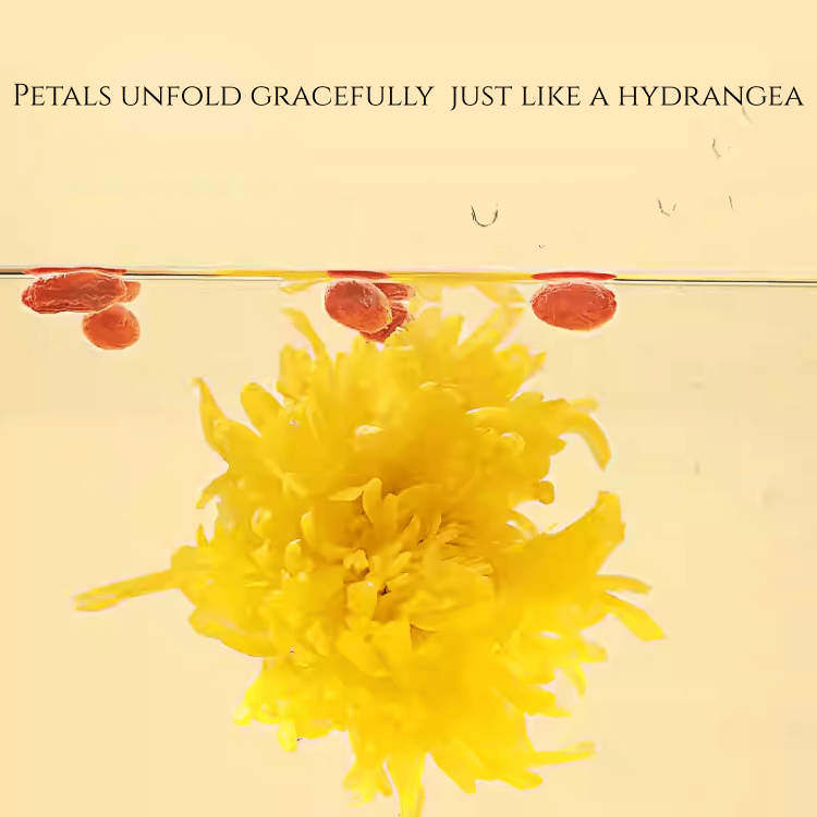 Beijing Tongrentang Chrysanthemum & Wolfberry Tea