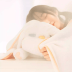 The Palace Museum Armadillo Plush Pillow Blanket