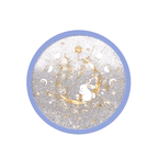 The Palace Museum Golden Crow & Jade Hare Shifting Sand Silicone Coaster