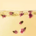 Beijing Tongrentang Rose Tea