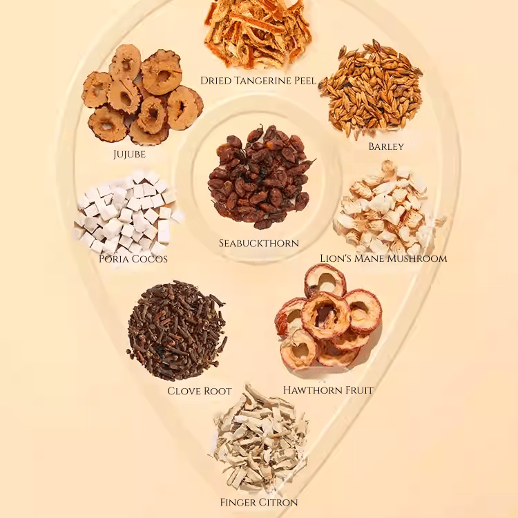Beijing Tongrentang Lion's Mane Clove Seabuckthorn Tea