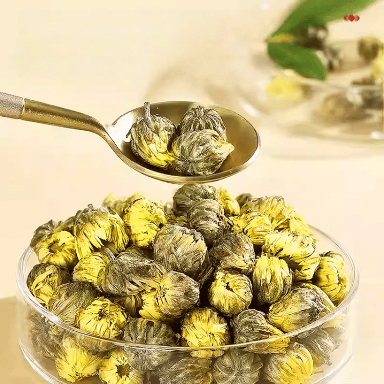 Beijing Tongrentang Chrysanthemum Bud Herbal Tea