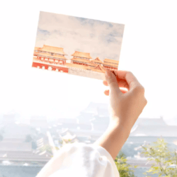 The Palace Museum Cat Notebook Gift Set