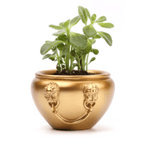 The Palace Museum Fu Hai Blessing Mini Indoor Planter