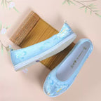 Neilan Sheng  Retro Pointed-Toe Hanfu Traditional Embroidered Women's Shoes