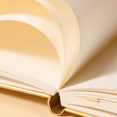 The Palace Museum Jin'ou Yonggu Notebook Set